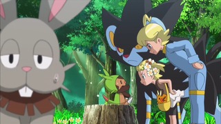 xy (93)