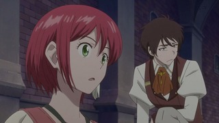 cap (113)