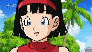 cap (29)