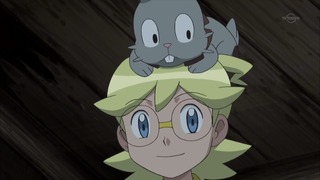xy (116)