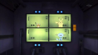 xy (74)