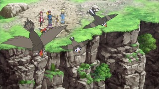 xy (19)
