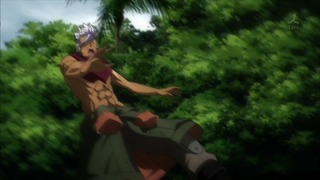 cap (231)