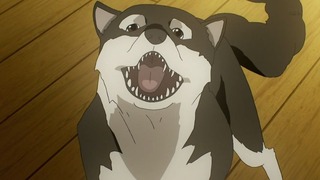 cap (13)