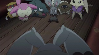 xy (56)