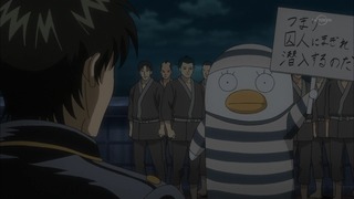 cap (20)