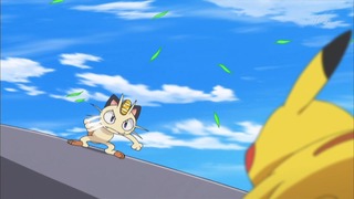 xy (161)