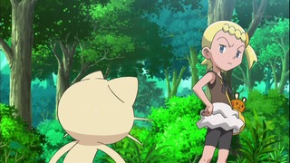 xy (129)