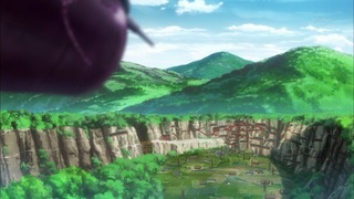 cap (113)