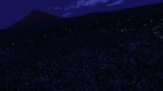 cap (149)