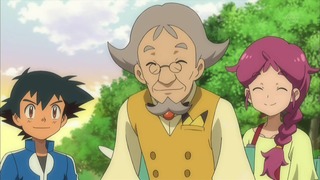 xy (274)