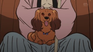 cap (14)