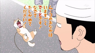 muco (36)