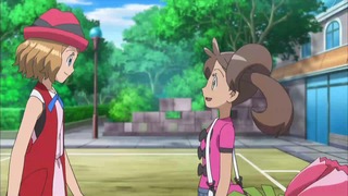 xy (211)