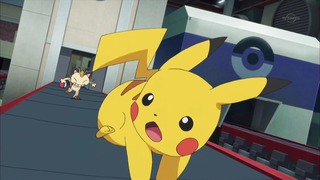 xy (89)