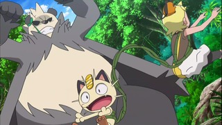 xy (29)