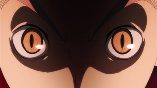 cap (231)