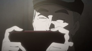 cap (12)