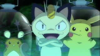 xy (24)