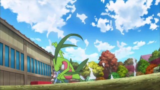 xy (168)