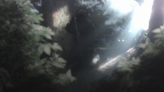 cap (71)