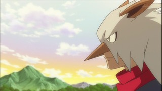 xy52 (118)