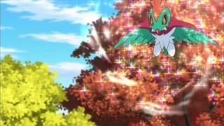 xy (127)