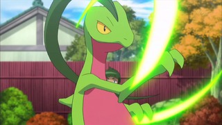 xy (153)