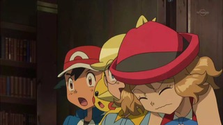 xy (79)