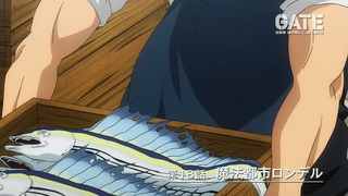 gate-228