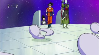 cap (135)