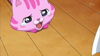 cap (23)