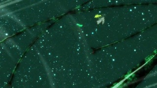 cap (238)