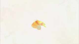 bn (60)