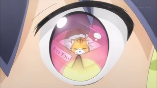 komo (39)