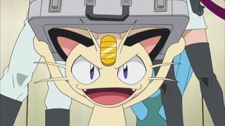 xy (29)