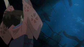 cap (252)