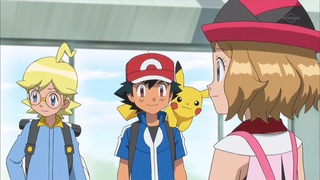 xy (11)