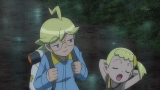 xy (16)
