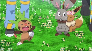 xy (197)