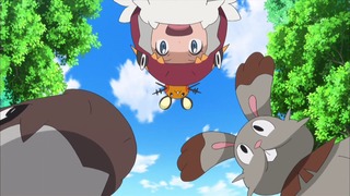 xy (83)