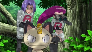 xy (46)