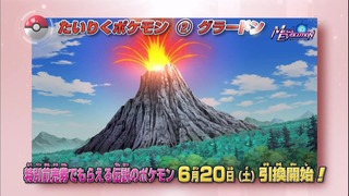xy (177)