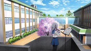 cap (48)