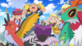 xy (16)