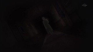 xy (41)