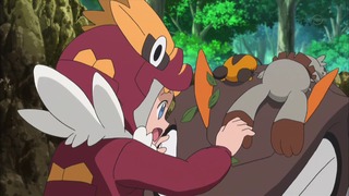 xy (67)
