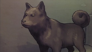 yami (13)