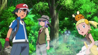 xy (114)