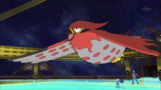 xy (109)